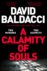 A Calamity of Souls