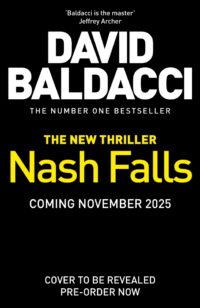 Nash Falls - David Baldacci